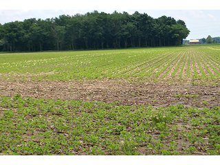 Property photo 92 - LAND AUCTION - 700+/- ACRES OFFERED IN 16 TRACTS IN ALLEN COUNTY, INDIANA